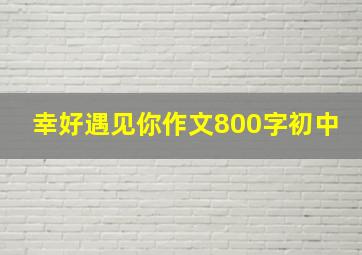 幸好遇见你作文800字初中