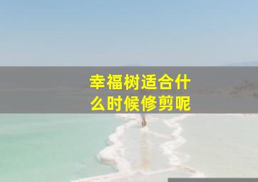 幸福树适合什么时候修剪呢