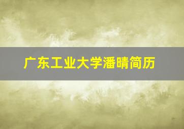 广东工业大学潘晴简历