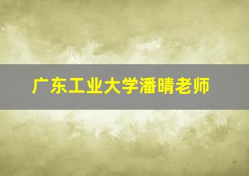 广东工业大学潘晴老师