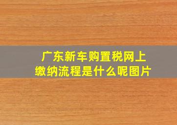 广东新车购置税网上缴纳流程是什么呢图片