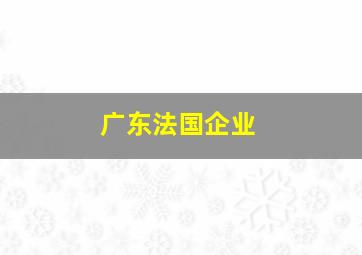 广东法国企业