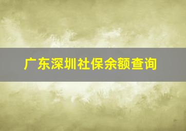 广东深圳社保余额查询