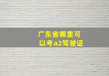 广东省哪里可以考a2驾驶证