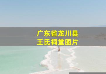 广东省龙川县王氏祠堂图片