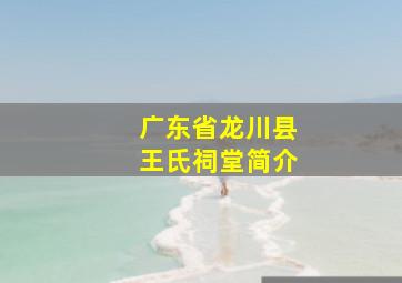 广东省龙川县王氏祠堂简介