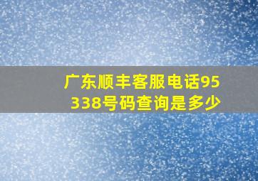 广东顺丰客服电话95338号码查询是多少