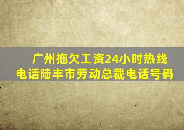 广州拖欠工资24小时热线电话陆丰市劳动总裁电话号码