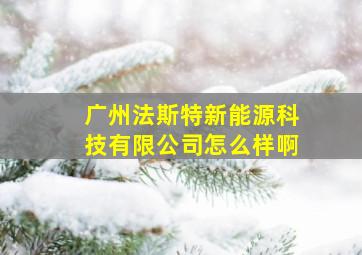 广州法斯特新能源科技有限公司怎么样啊