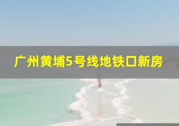 广州黄埔5号线地铁口新房