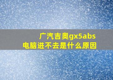 广汽吉奥gx5abs电脑进不去是什么原因