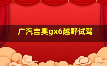 广汽吉奥gx6越野试驾