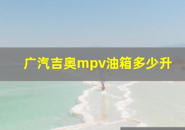 广汽吉奥mpv油箱多少升