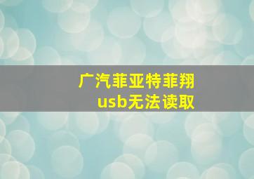 广汽菲亚特菲翔usb无法读取