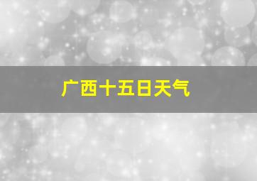 广西十五日天气