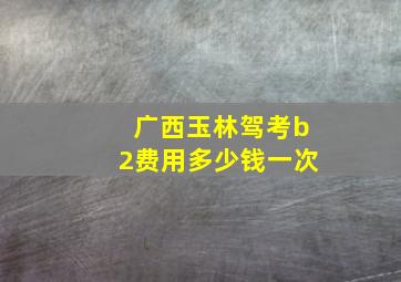 广西玉林驾考b2费用多少钱一次