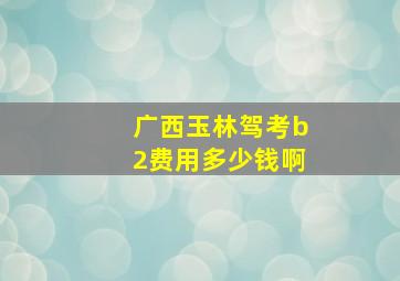 广西玉林驾考b2费用多少钱啊