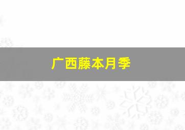 广西藤本月季