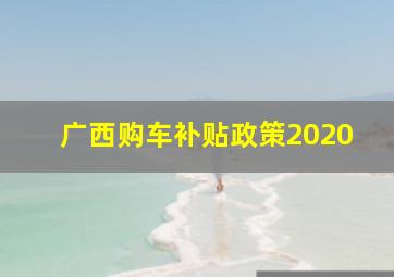 广西购车补贴政策2020