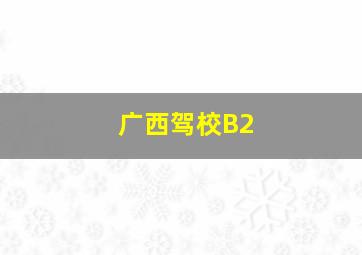 广西驾校B2