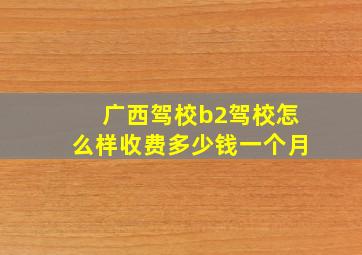 广西驾校b2驾校怎么样收费多少钱一个月