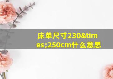 床单尺寸230×250cm什么意思