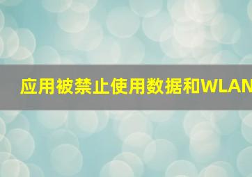 应用被禁止使用数据和WLAN