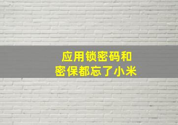 应用锁密码和密保都忘了小米