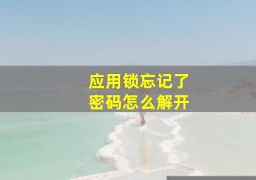 应用锁忘记了密码怎么解开