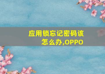 应用锁忘记密码该怎么办,OPPO