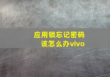 应用锁忘记密码该怎么办vivo