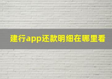 建行app还款明细在哪里看