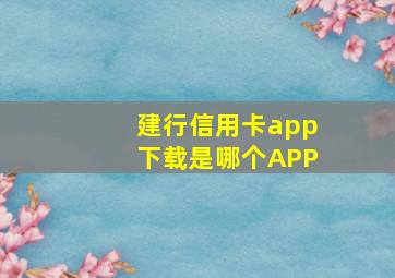 建行信用卡app下载是哪个APP