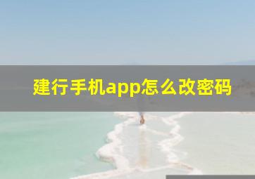 建行手机app怎么改密码