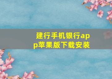 建行手机银行app苹果版下载安装