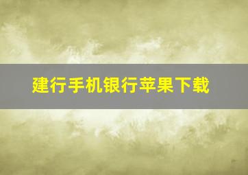 建行手机银行苹果下载