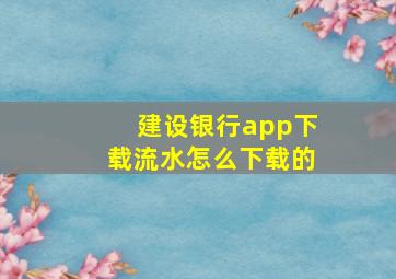 建设银行app下载流水怎么下载的