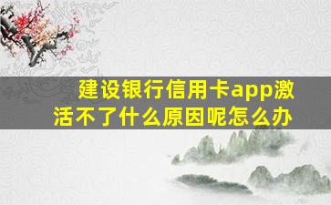 建设银行信用卡app激活不了什么原因呢怎么办