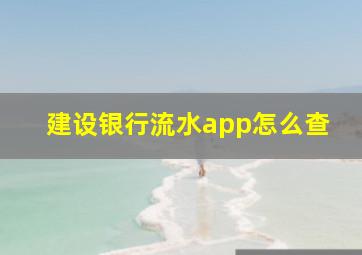 建设银行流水app怎么查