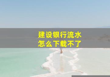 建设银行流水怎么下载不了