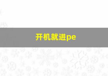 开机就进pe