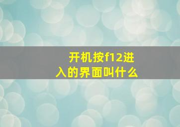 开机按f12进入的界面叫什么