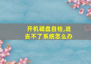 开机磁盘自检,进去不了系统怎么办