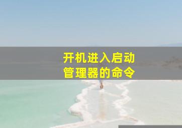 开机进入启动管理器的命令