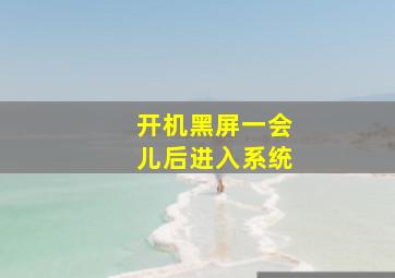 开机黑屏一会儿后进入系统