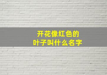 开花像红色的叶子叫什么名字