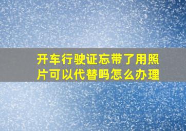 开车行驶证忘带了用照片可以代替吗怎么办理