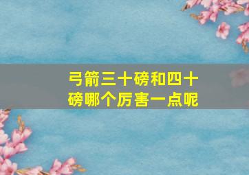 弓箭三十磅和四十磅哪个厉害一点呢