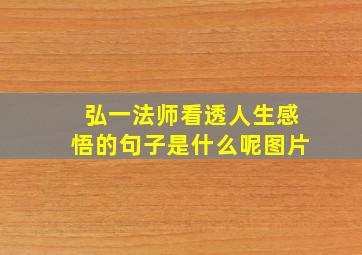 弘一法师看透人生感悟的句子是什么呢图片