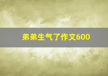 弟弟生气了作文600